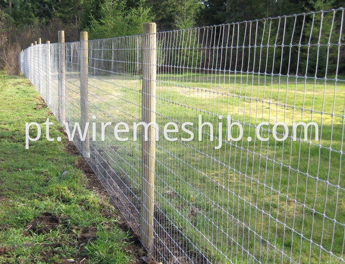 Galvanized Farm Fence